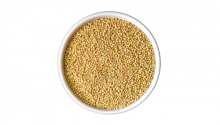 FOXTAILMILLET