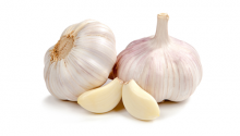 GARLIC