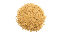paddyrice